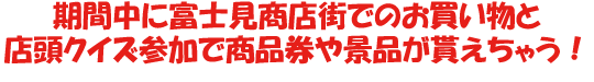 sonae_03.png
